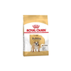 Bulldog Adult Dog Food - Royal Canin - PetStore.ae