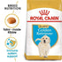 products/royal-canin-pets-12kg-royal-canin-breed-health-nutrition-golden-retriever-puppy-12kg-16476834562183.jpg