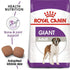 products/royal-canin-pets-15-kg-royal-canin-size-health-nutrition-giant-adult-15-kg-16475621097607.jpg