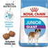 products/royal-canin-pets-15-kg-royal-canin-size-health-nutrition-giant-junior-15kg-16475655929991.jpg