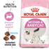 products/royal-canin-pets-2kg-feline-health-nutrition-mother-and-babycat-16460841451655.jpg
