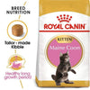 Feline Breed Nutrition Maine Coon Kitten Food - Royal Canin - PetStore.ae