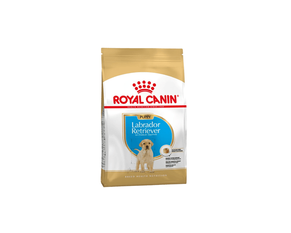 Labrador Retriever Puppy Dog Food Royal Canin PetStore.ae