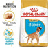 products/royal-canin-pets-3kg-royal-canin-breed-health-nutrition-boxer-puppy-3kg-16479387517063.jpg