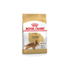 Cocker Spaniel Adult Dog Food - Royal Canin - PetStore.ae