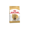 French Bulldog Adult Dog Food - Royal Canin - PetStore.ae