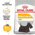 products/royal-canin-pets-3kg-royal-canin-mini-dermacomfort-3kg-16479272665223.jpg