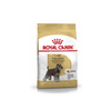 Miniature Schnauzer Adult Dog Food - Royal Canin - PetStore.ae