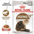 products/royal-canin-pets-ageing-12-gravy-cat-food-wet-food-pouches-royal-canin-16508843622535.jpg
