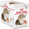 Ageing +12 Gravy Cat Food (Wet Food - Pouches) - Royal Canin - PetStore.ae