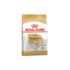 Bichon Frise Adult Dog Food - Royal Canin - PetStore.ae