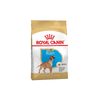 Boxer Puppy Dog Food - Royal Canin - PetStore.ae