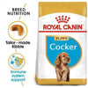 Cocker Puppy Dog Food - Royal Canin