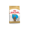 Cocker Puppy Dog Food - Royal Canin - PetStore.ae