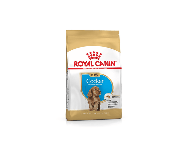 Cocker Puppy Dog Food - Royal Canin - PetStore.ae