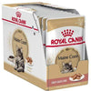 Feline Breed Nutrition Maine Coon (WET FOOD - Pouches) - Royal Canin - PetStore.ae