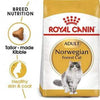 Feline Breed Nutrition Norwegian Forest Cat Food - Royal Canin - PetStore.ae