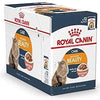 Feline Care Nutrition Intense Beauty Gravy (WET FOOD - Pouches) - Royal Canin - PetStore.ae