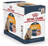 products/royal-canin-pets-feline-care-nutrition-intense-beauty-gravy-wet-food-pouches-royal-canin-18287796027554.jpg