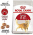 products/royal-canin-pets-feline-health-nutrition-fit-32-cat-food-royal-canin-18291003883682.jpg