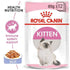 products/royal-canin-pets-feline-health-nutrition-kitten-jelly-wet-food-pouches-royal-canin-18149568807074.jpg