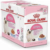 Feline Health Nutrition Kitten Jelly (WET FOOD - Pouches) - Royal Canin - PetStore.ae