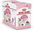 products/royal-canin-pets-feline-health-nutrition-kitten-jelly-wet-food-pouches-royal-canin-18273379647650.jpg