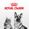 Feline Health Nutrition Kitten Sterilised Food - Royal Canin - PetStore.ae