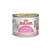 Feline Health Nutrition Mother & Babycat Mousse Canned Cat Food - Royal Canin - PetStore.ae