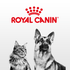 products/royal-canin-pets-mini-puppy-dog-food-royal-canin-36261788385510.png