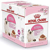 Feline Health Nutrition Kitten Gravy (WET FOOD - Pouches) - Royal Canin - PetStore.ae