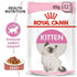 products/royal-canin-pets-per-piece-feline-health-nutrition-kitten-gravy-wet-food-pouches-royal-canin-18149597937826.jpg