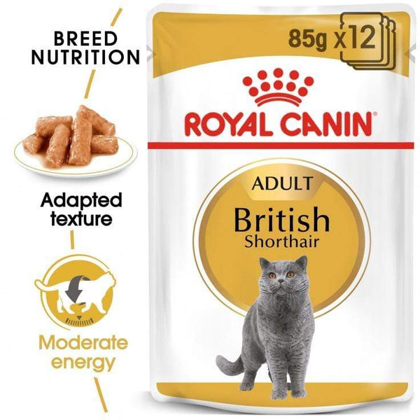 Feline Breed Nutrition British Shorthair (WET FOOD - Pouches) - Royal Canin - PetStore.ae