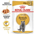 products/royal-canin-pets-pouches-royal-canin-feline-breed-nutrition-british-shorthair-wet-food-pouches-16509642080391.jpg