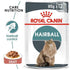 products/royal-canin-pets-pouches-royal-canin-feline-care-nutrition-hairball-gravy-wet-food-pouches-16509101572231.jpg