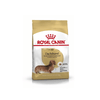 Dachshund Adult Dog Food - Royal Canin - PetStore.ae