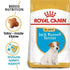 products/royal-canin-pets-royal-canin-breed-health-nutrition-jack-russell-puppy-1-5kg-18812794667170.jpg