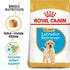 products/royal-canin-pets-royal-canin-breed-health-nutrition-labrador-puppy-16478539415687.jpg
