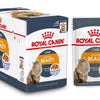 Feline Care Nutrition Intense Beauty Jelly (WET FOOD - Pouches) - Royal Canin - PetStore.ae