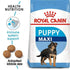 products/royal-canin-pets-royal-canin-maxi-puppy-dog-food-16475930722439.jpg