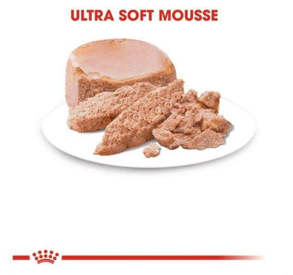 Royal Canin - Mother and Babycat ultra soft mousse 195g - PetStore.ae
