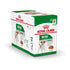 products/royal-canin-pets-royal-canin-size-health-nutrition-mini-adult-wet-food-pouches-18769608999074.jpg