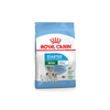 Mini Starter Dog Food - Royal Canin - PetStore.ae