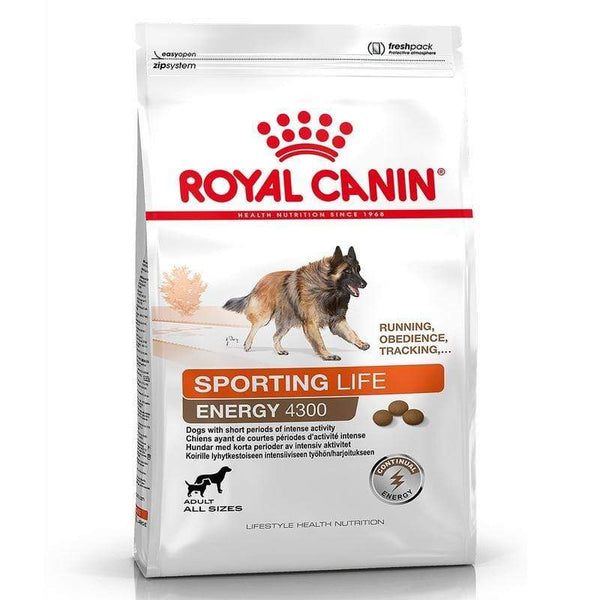 Sporting Life Energy 4300 Dog Food - Royal Canin - PetStore.ae