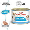 Starter Mousse Canned Dog Food - Royal Canin - PetStore.ae