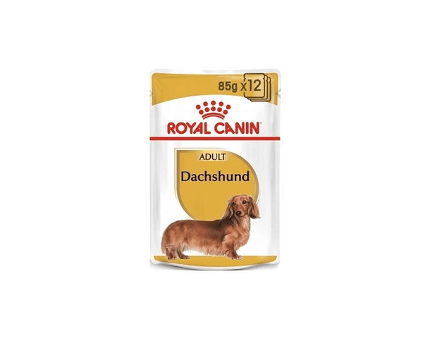 Dachshund Adult Wet Dog Food Pouch - Royal Canin - PetStore.ae