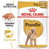 products/royal-canin-pets-wet-food-pouches-royal-canin-adult-poodle-wet-food-wet-food-pouches-16478797004935.jpg