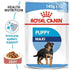 products/royal-canin-pets-wet-food-pouches-royal-canin-size-health-nutrition-maxi-puppy-wet-food-pouches-16479169544327.jpg