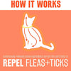 TropiClean Flea and Tick Repellent Collar for Cats One Size (BreakAway Collars) - PetStore.ae