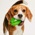 products/tropiclean-pet-supplies-tropiclean-fresh-breath-fresh-n-fun-dental-chew-toy-for-dogs-29934338736290.jpg